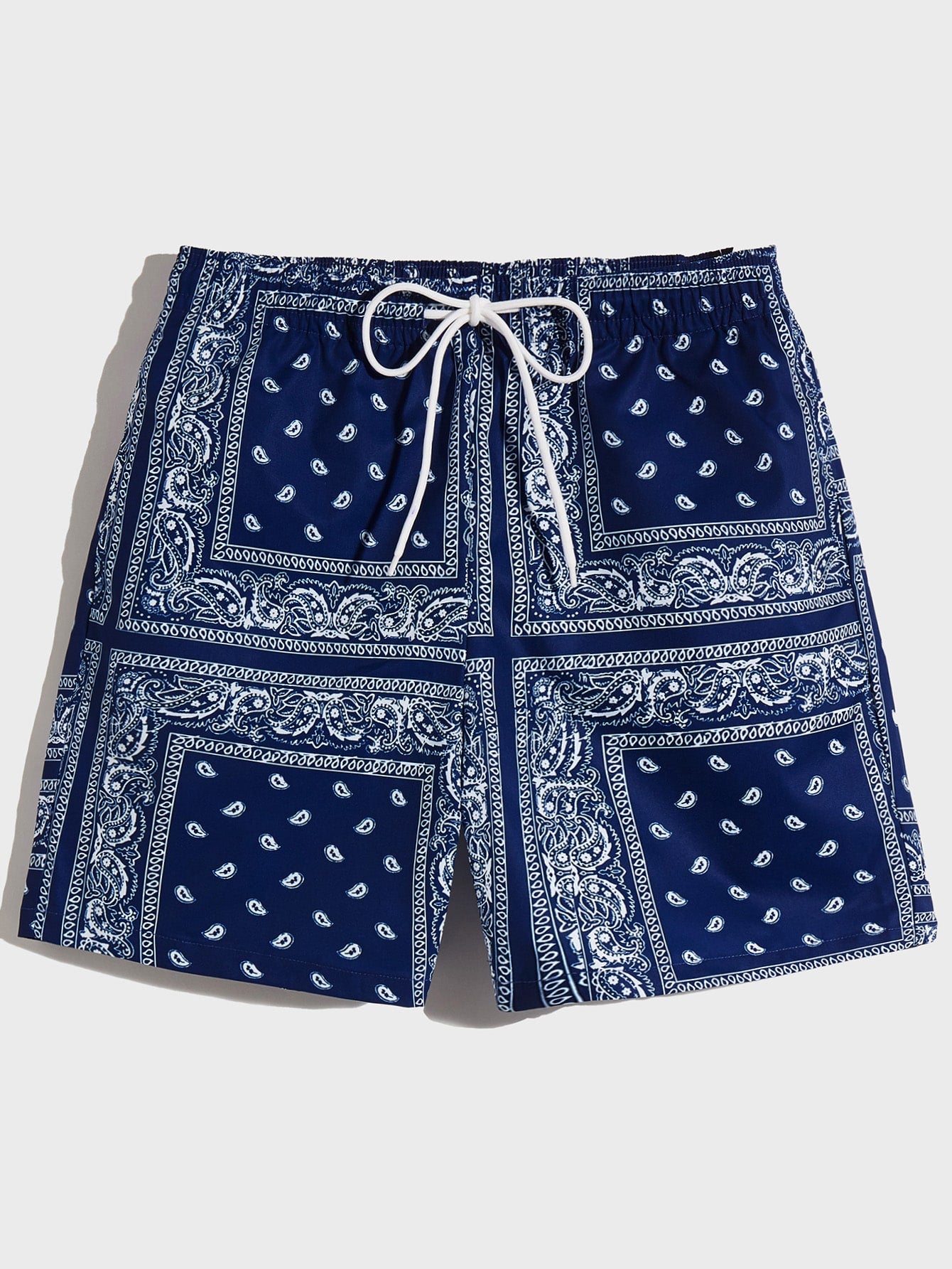 Men Drawstring Waist Paisley Print Shorts-TangieTripe