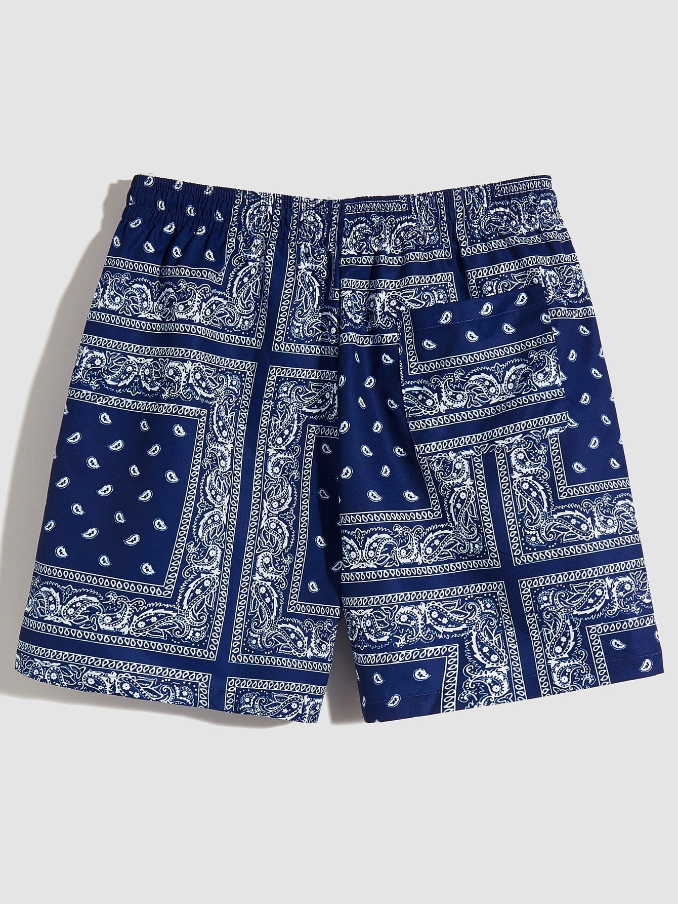 Men Drawstring Waist Paisley Print Shorts-TangieTripe