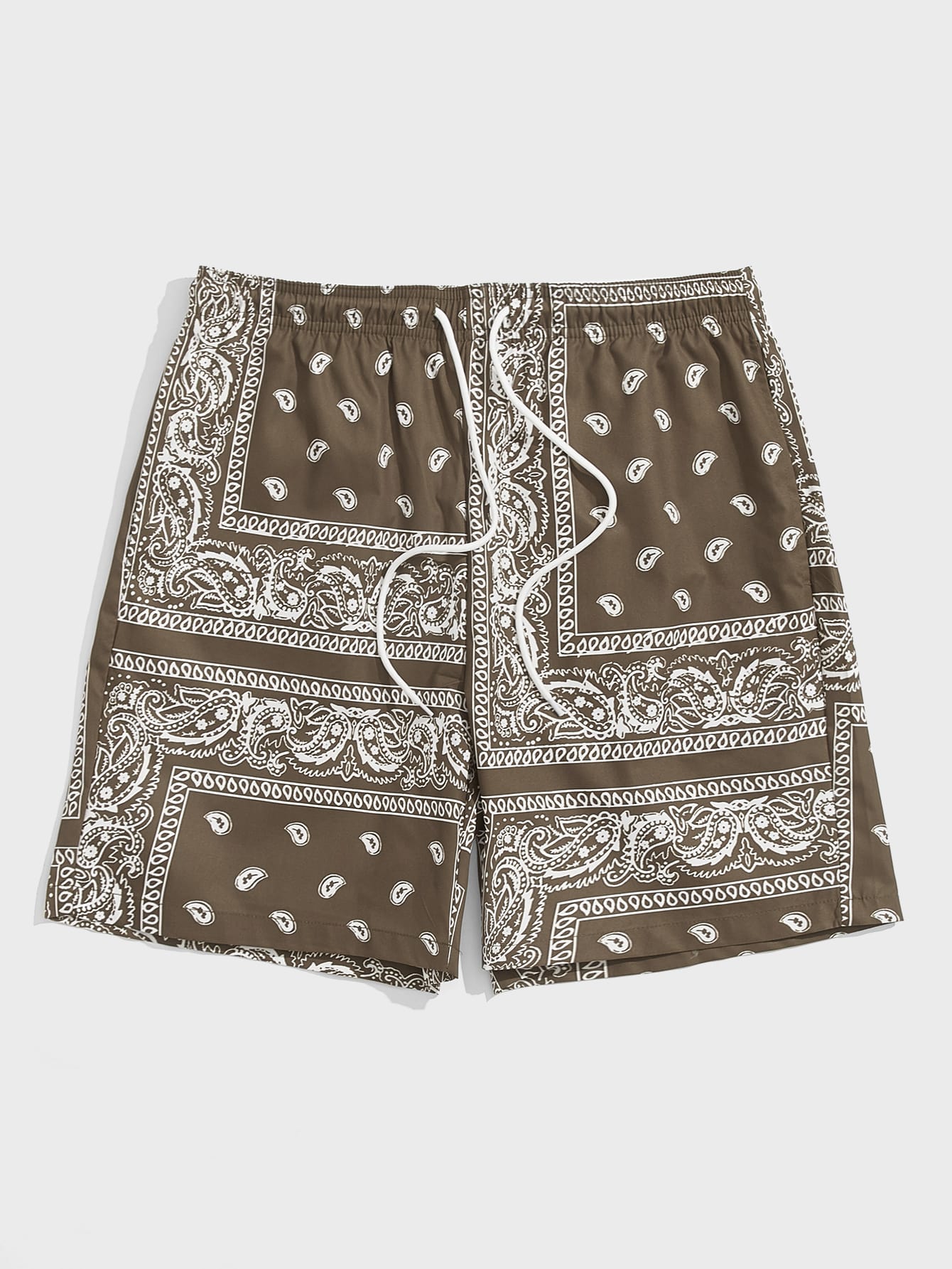 Men Drawstring Waist Paisley Print Shorts-TangieTripe