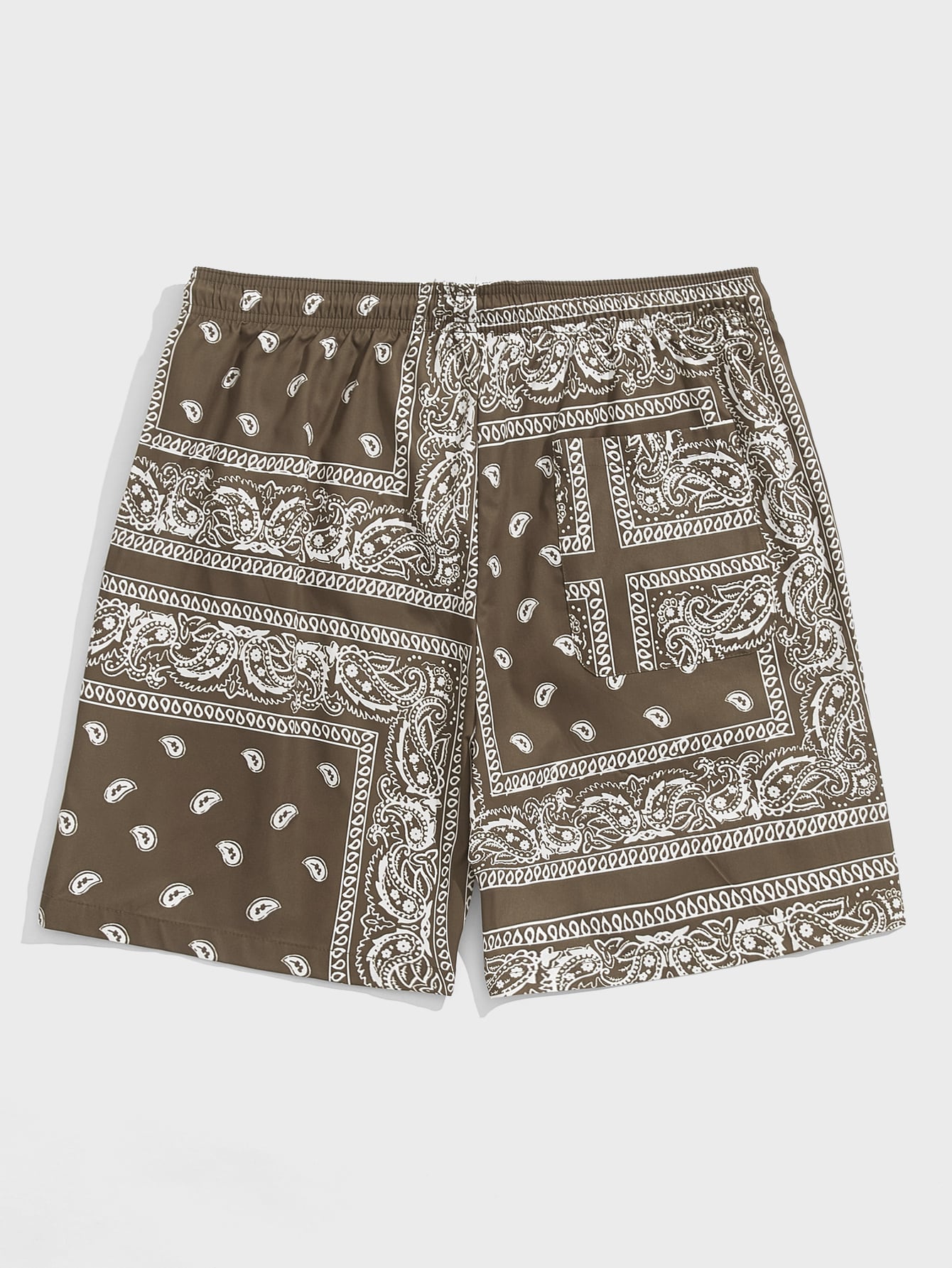 Men Drawstring Waist Paisley Print Shorts-TangieTripe