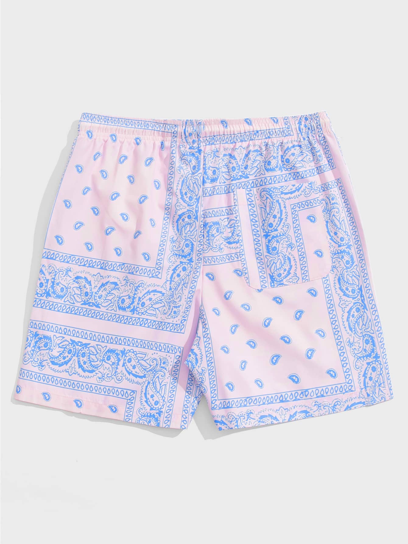 Men Drawstring Waist Paisley Print Shorts-TangieTripe