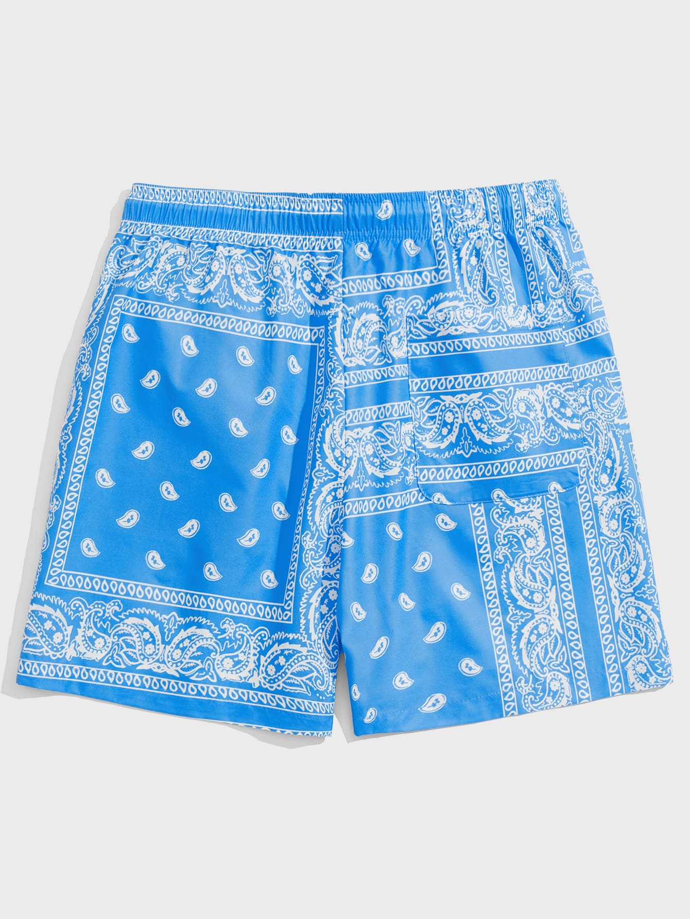 Men Drawstring Waist Paisley Print Shorts-TangieTripe