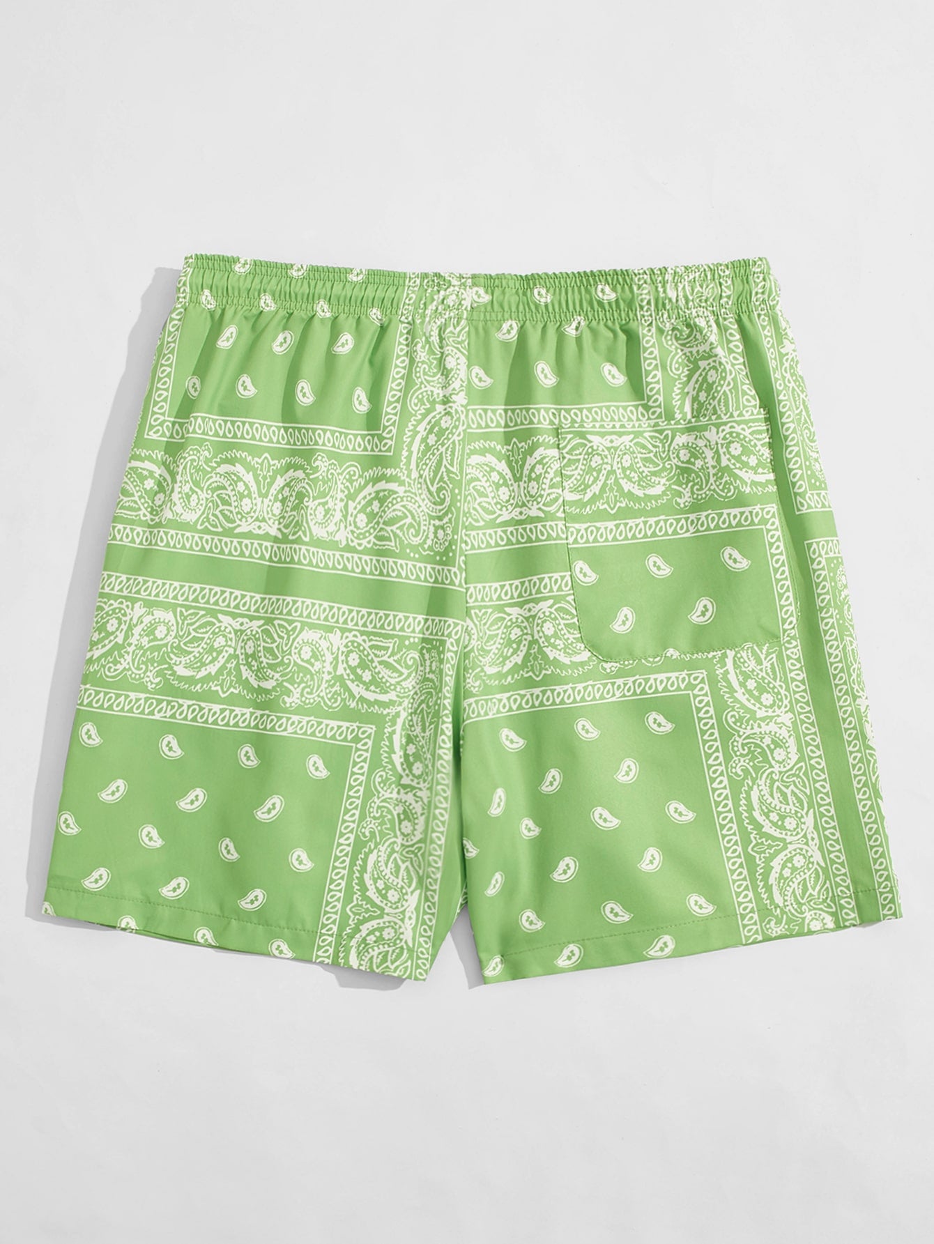 Men Drawstring Waist Paisley Print Shorts-TangieTripe