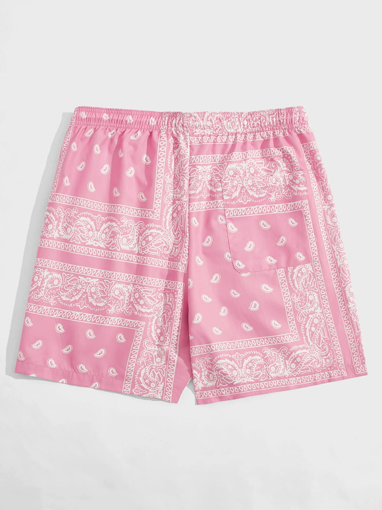 Men Drawstring Waist Paisley Print Shorts-TangieTripe