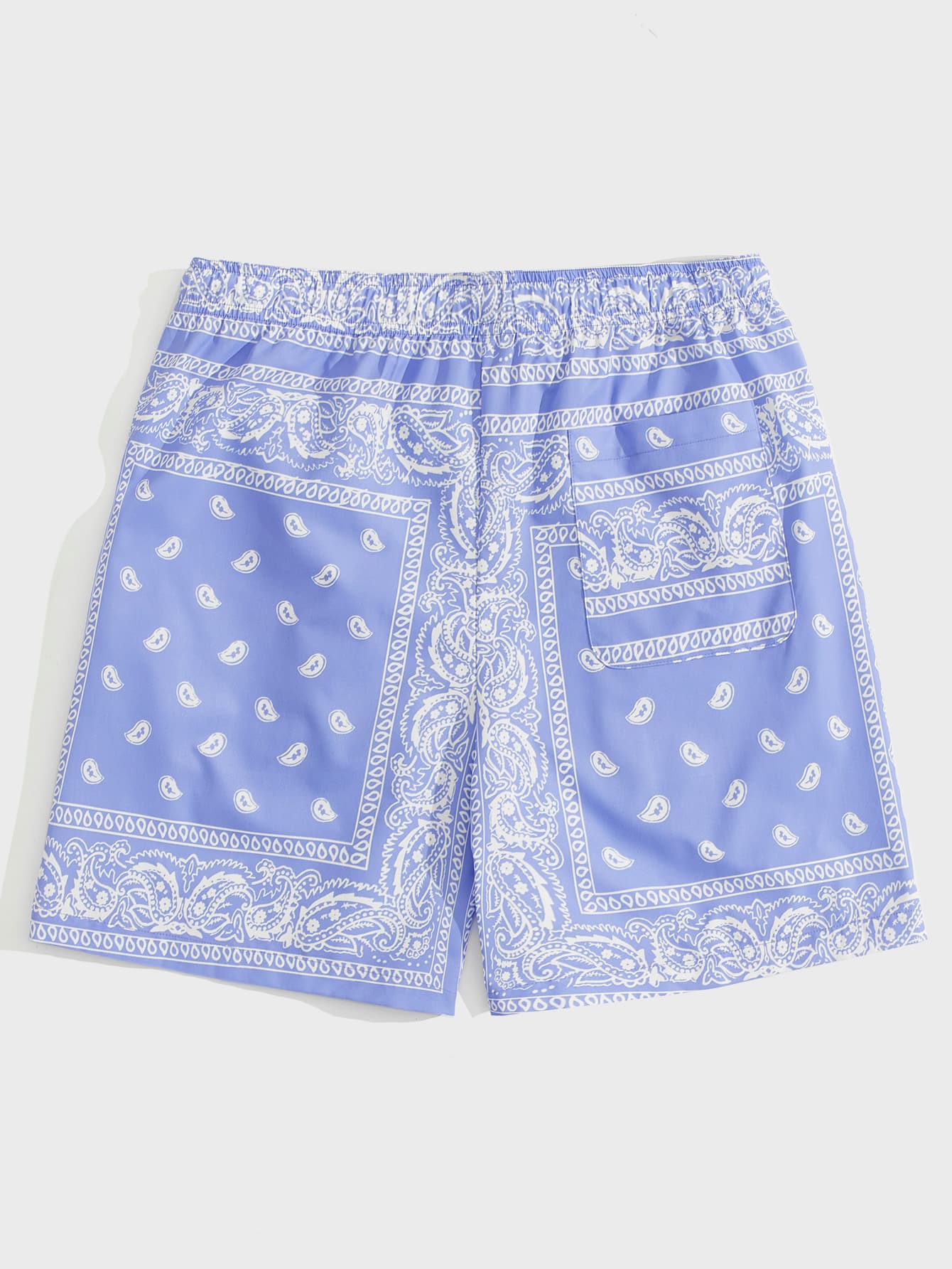 Men Drawstring Waist Paisley Print Shorts-TangieTripe